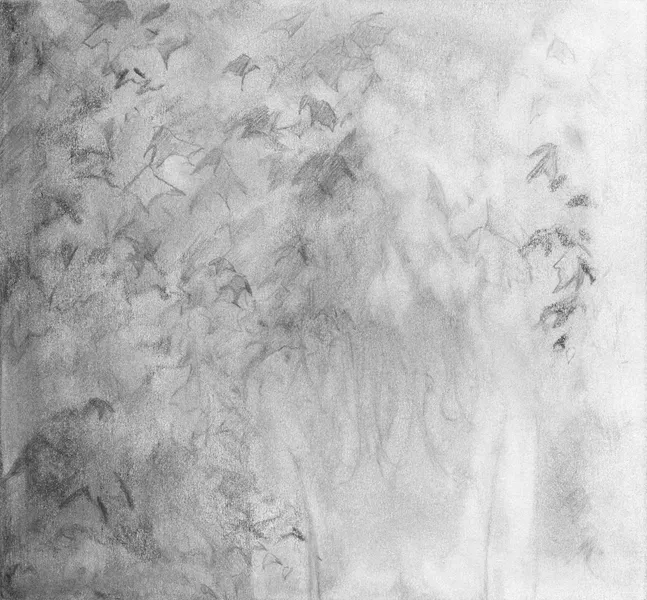 Looking out the window, 2020. Drawing by Cassandra Tankó