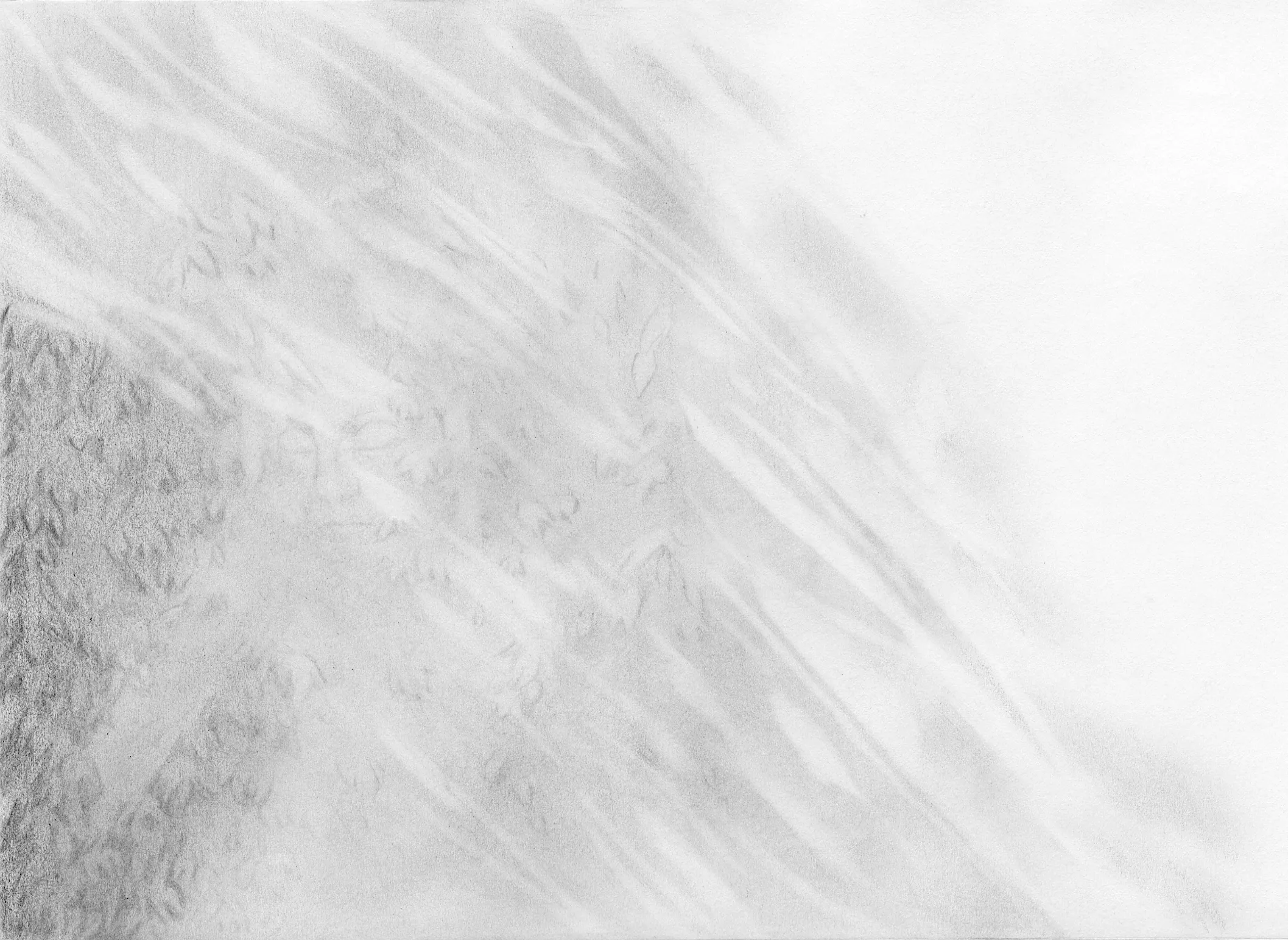 Suspended, 2020. Drawing by Cassandra Tankó