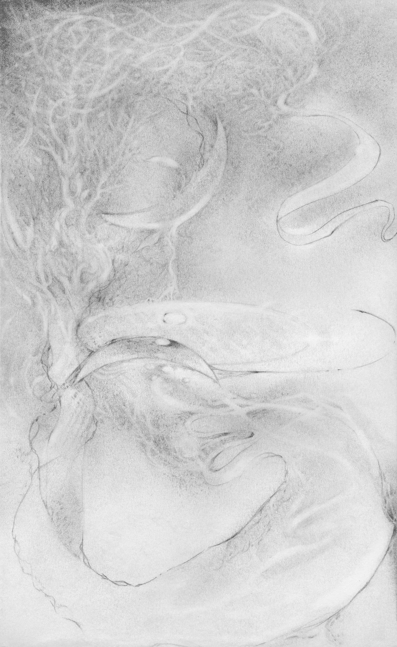 Temperance, 2025. Drawing by Cassandra Tankó