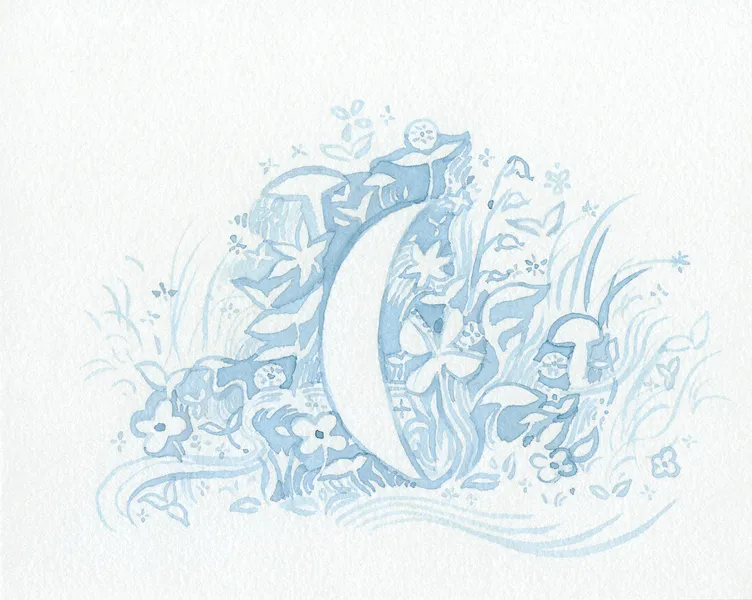 Where the woodland sprites gather, 2024. Drawing by Cassandra Tankó